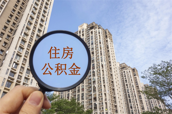 株洲怎么把公积金全部取出来（如何将公积金全部取出）